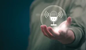 voice search optimiztion